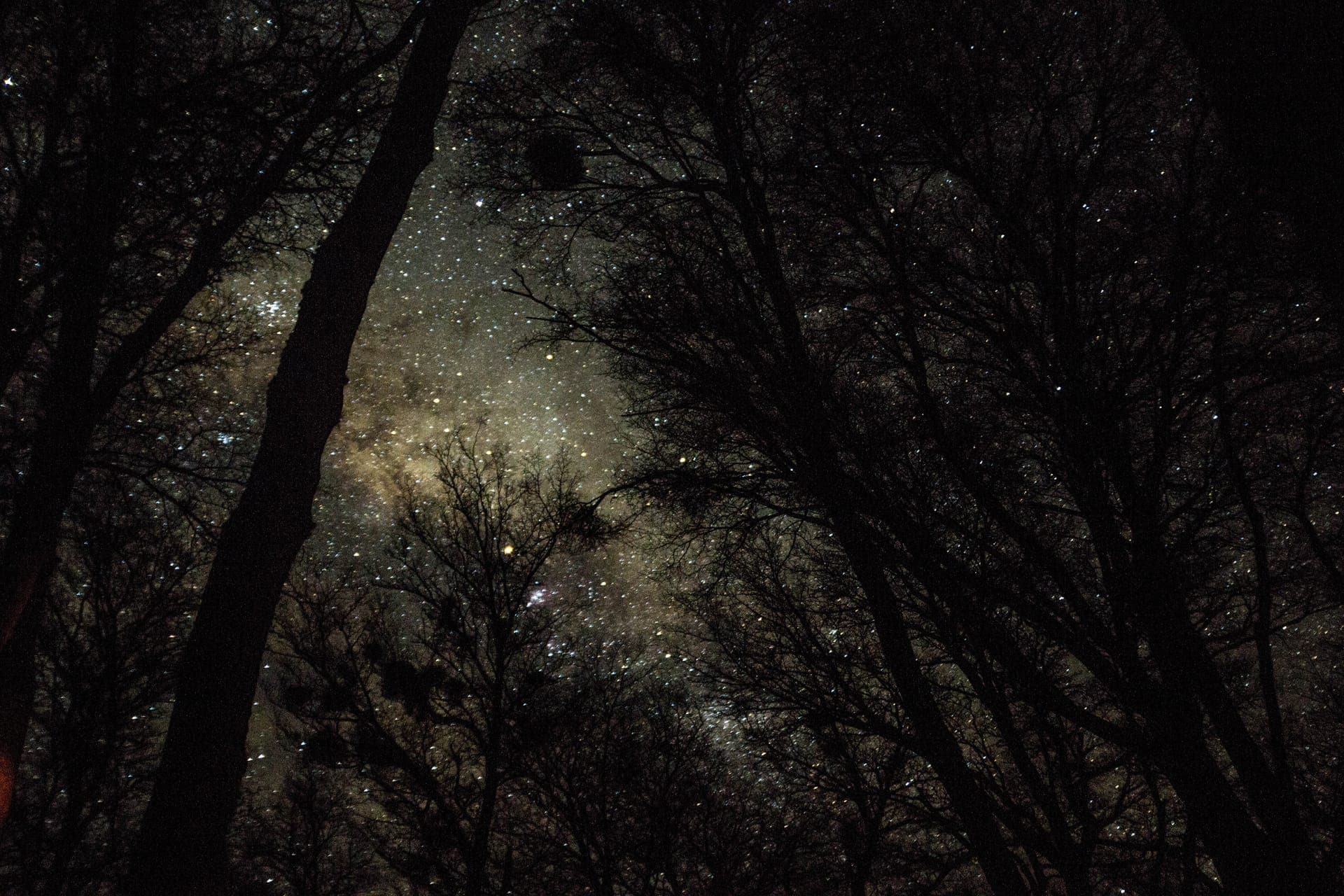 Chilean night skies (3)